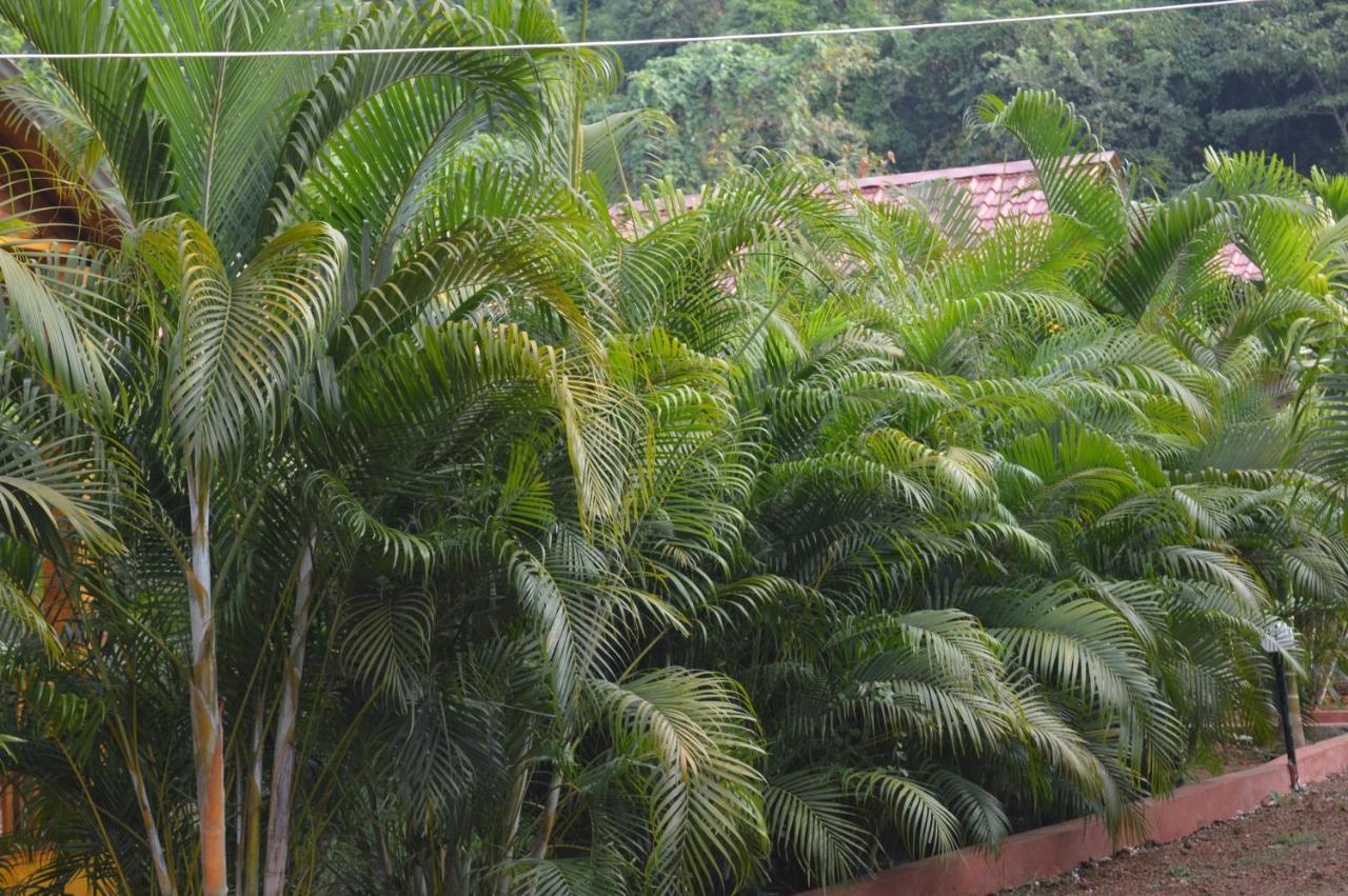 Kings Villa Resort Palolem Exterior photo