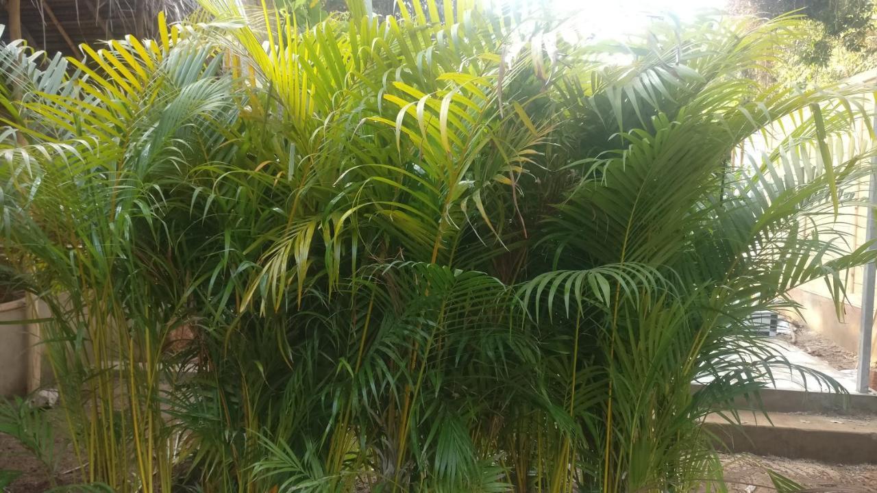 Kings Villa Resort Palolem Exterior photo